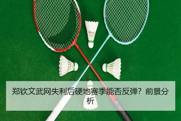 zheng-qin-wen-wu-wang-shi-li-hou-ying-di-sai-ji-neng-fou-fan-tan-qian-jing-fen-xi-2-309.jpg
